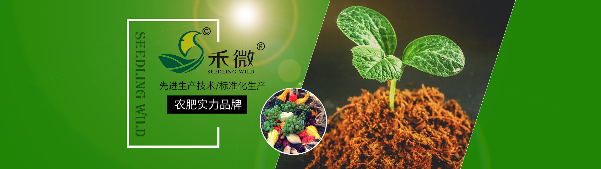 火狐电竞官网登录